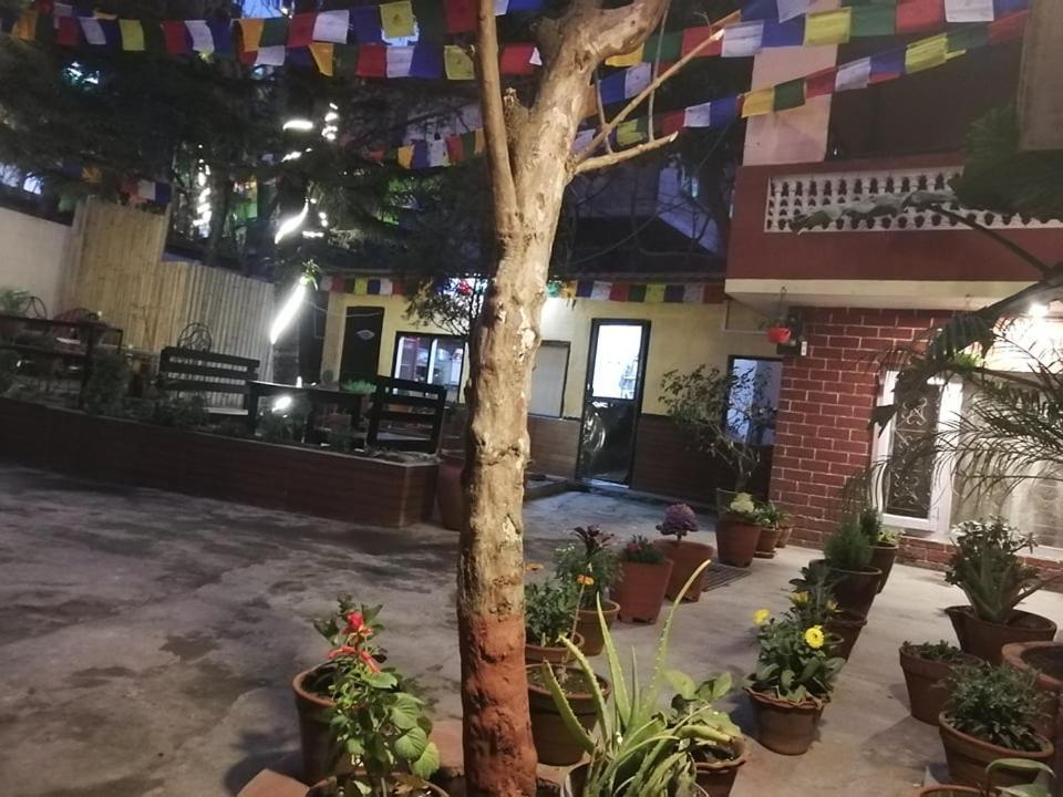 Nirvana Green Peace Home Katmandu Zewnętrze zdjęcie