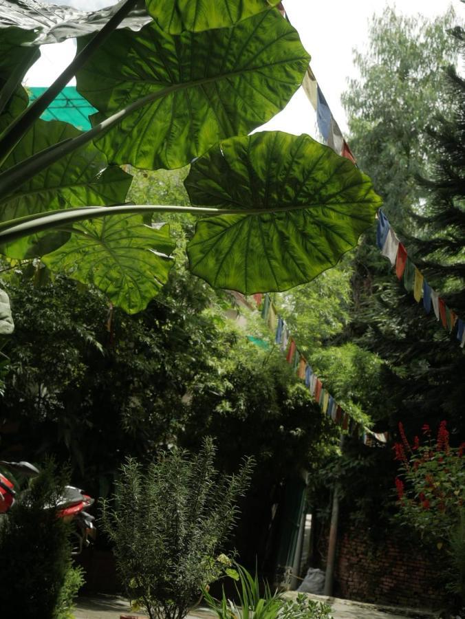 Nirvana Green Peace Home Katmandu Zewnętrze zdjęcie