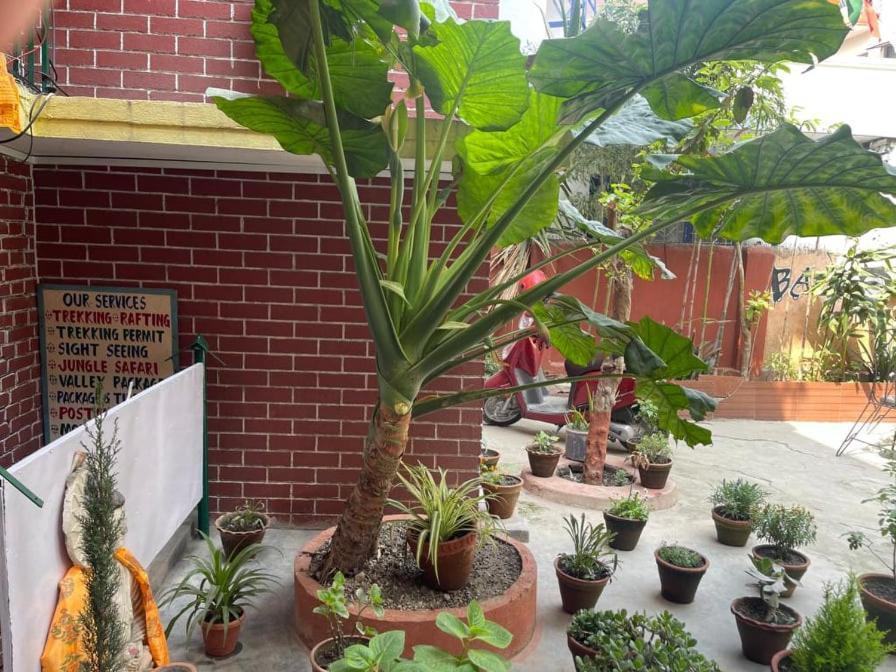 Nirvana Green Peace Home Katmandu Zewnętrze zdjęcie
