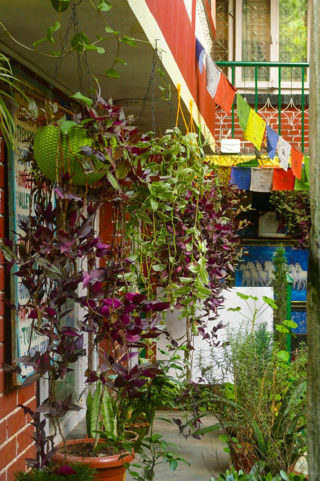 Nirvana Green Peace Home Katmandu Zewnętrze zdjęcie