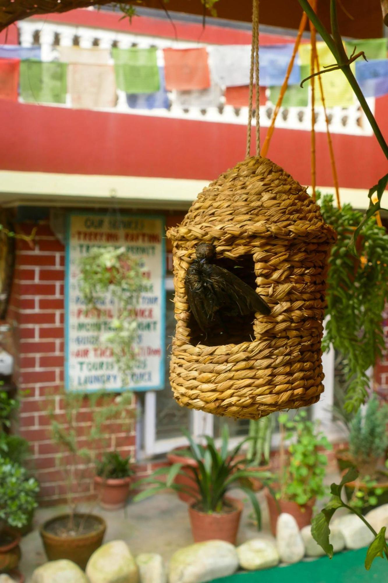 Nirvana Green Peace Home Katmandu Zewnętrze zdjęcie